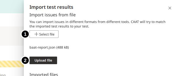 Import Issues - Testing - Features - CAAT