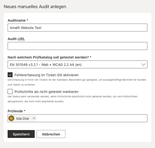 Screenshot der Eingabemaske "Neues manuelles Audit anlegen"